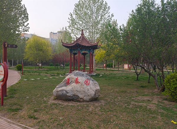 园林绿化